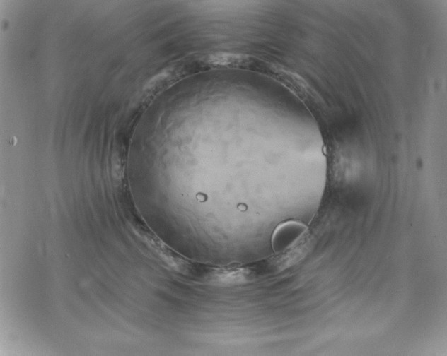 X0000073860569200608101253