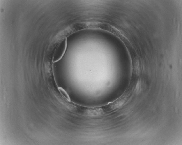 X0000073860571200608101253