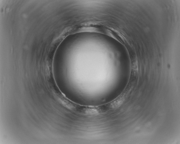 X0000073860572200608101253