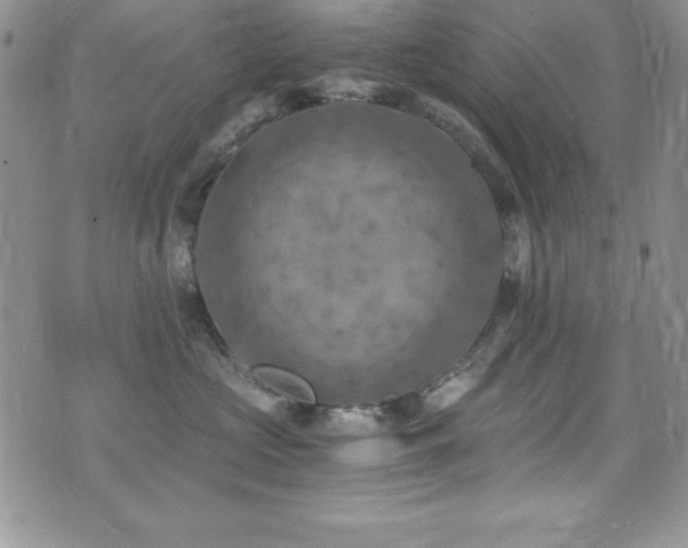 X0000073860573200608101253