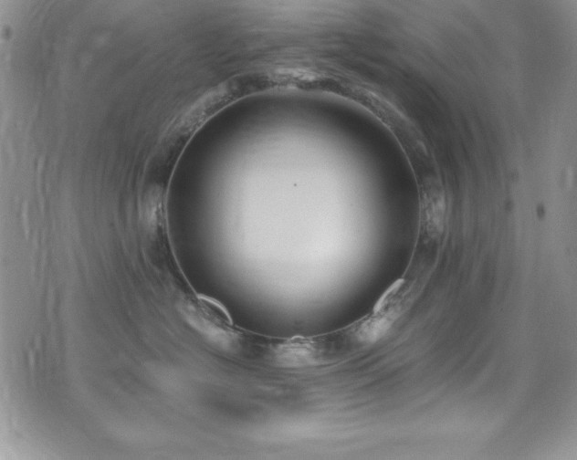 X0000073860574200608101253