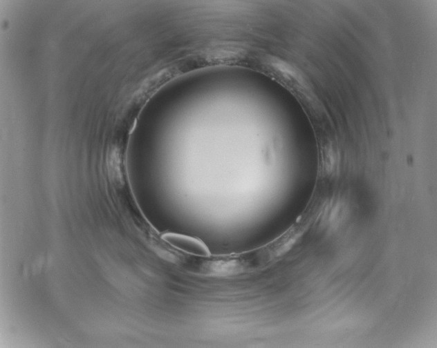 X0000073860575200608101253