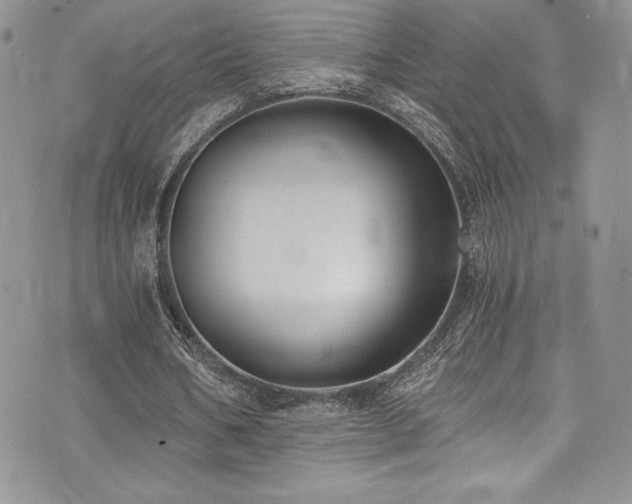 X0000073860578200608101253