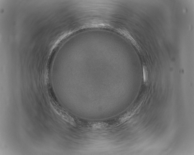 X0000073860579200608101253