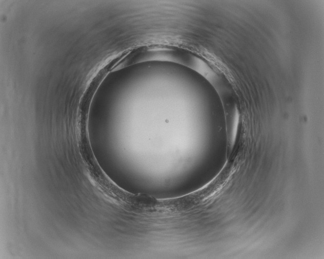 X0000073860580200608101253