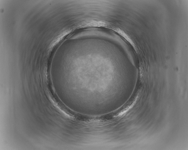 X0000073860581200608101253