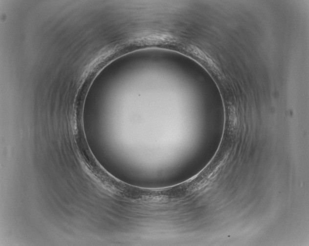 X0000073860582200608101252