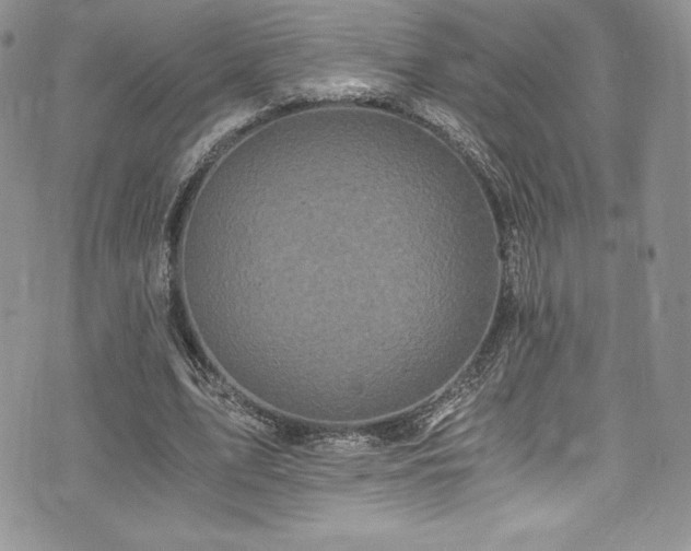 X0000073860583200608101252