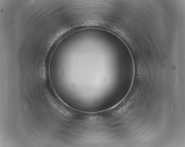 X0000073860584200608101252