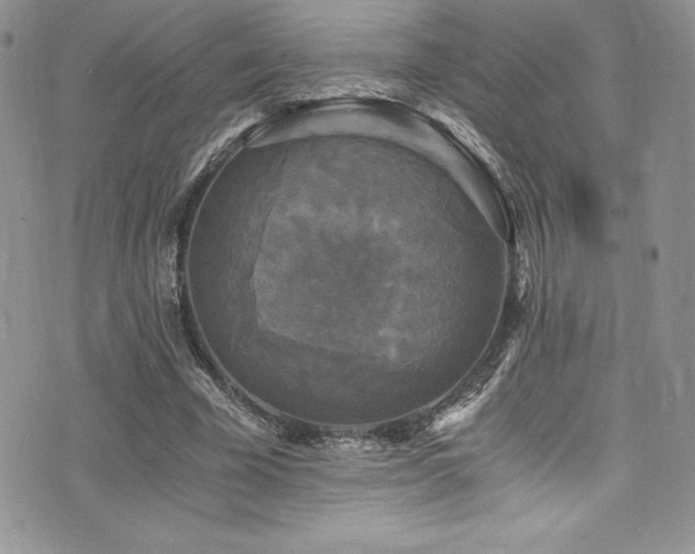 X0000073860585200608101252