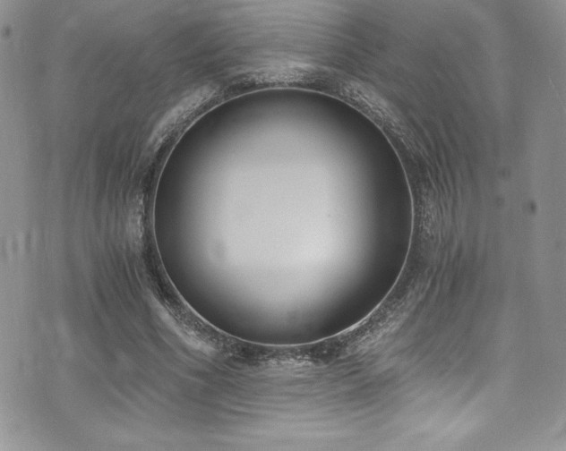 X0000073860586200608101252