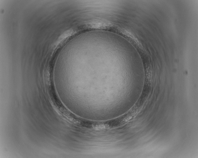 X0000073860587200608101252