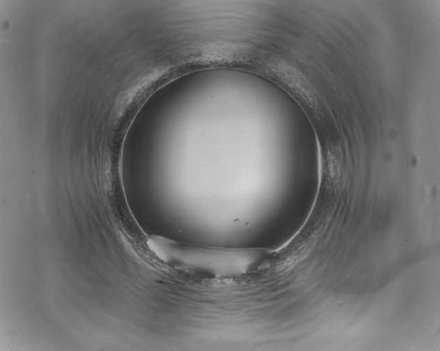 X0000073860588200608101252