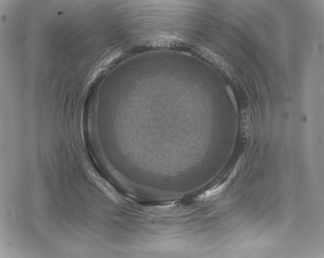 X0000073860589200608101252