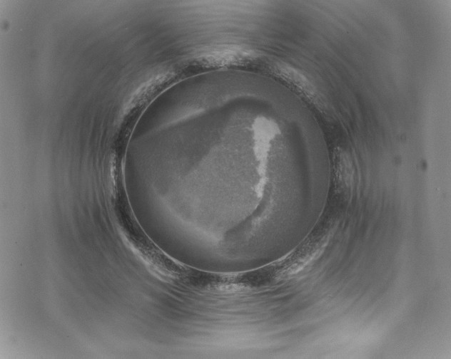 X0000073860590200608101252