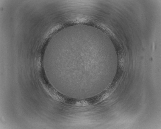 X0000073860591200608101252