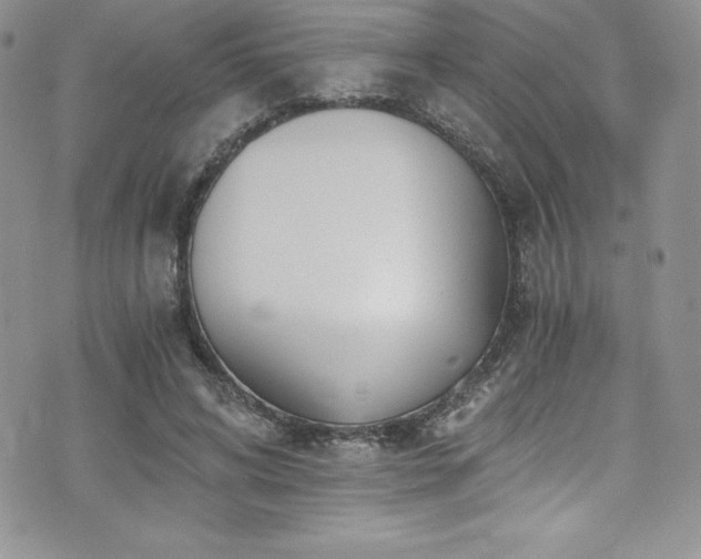 X0000073860592200608101252