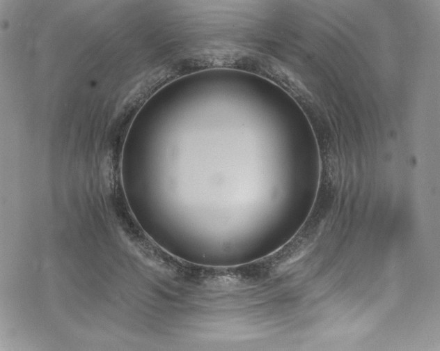 X0000073860594200608101252