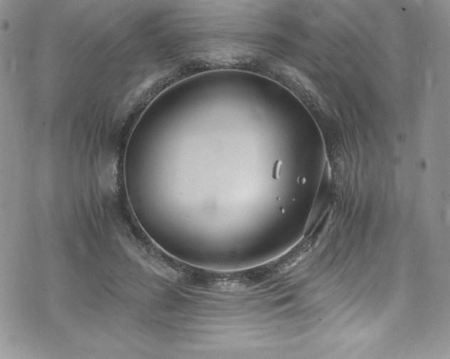 X0000073860596200608101252