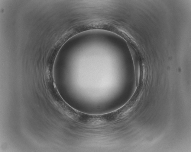 X0000073860597200608101252