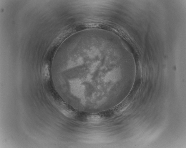 X0000073860598200608101252