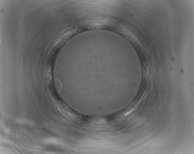 X0000073860599200608101252