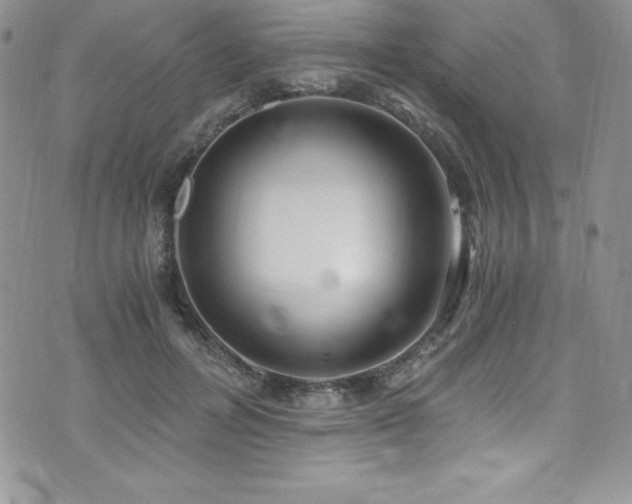 X0000073860600200608101252