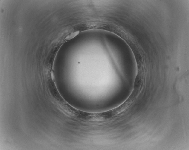 X0000073860601200608101252