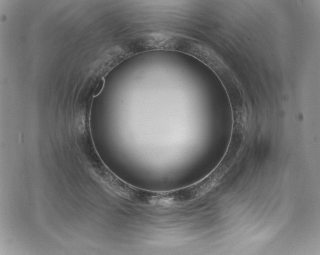 X0000073860602200608101252