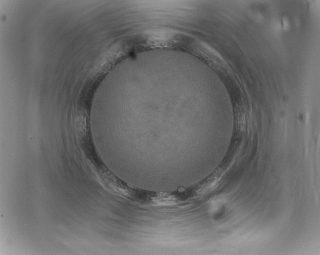 X0000073860603200608101252