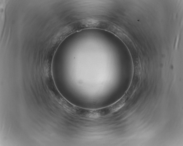 X0000073860604200608101252