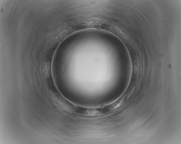 X0000073860605200608101252