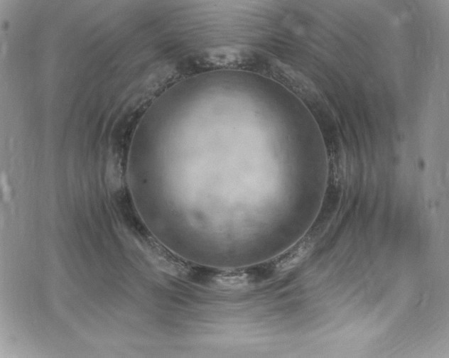 X0000073860606200608101252