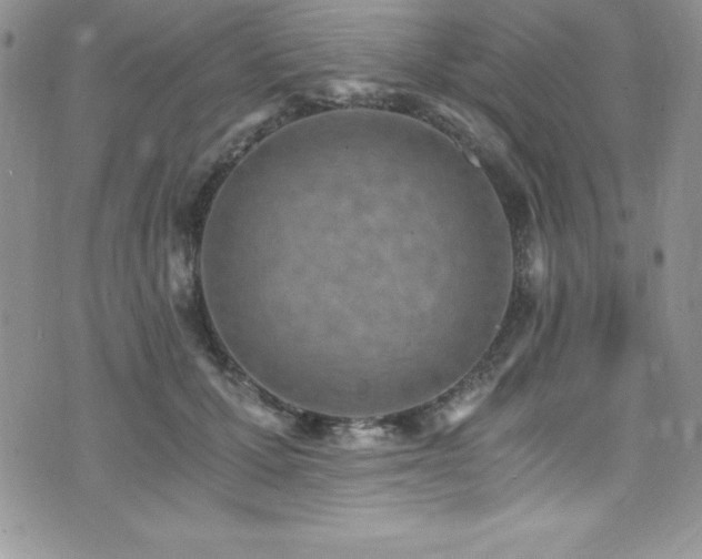 X0000073860607200608101252