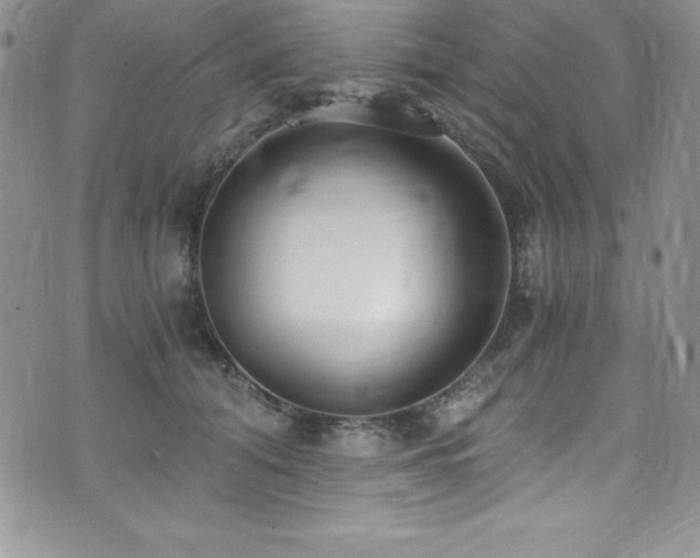 X0000073860608200608101252