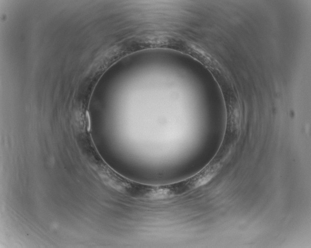 X0000073860609200608101252