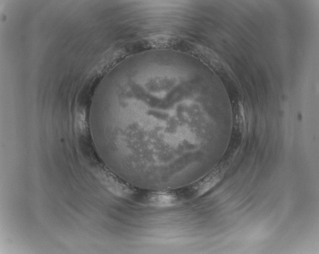 X0000073860610200608101252