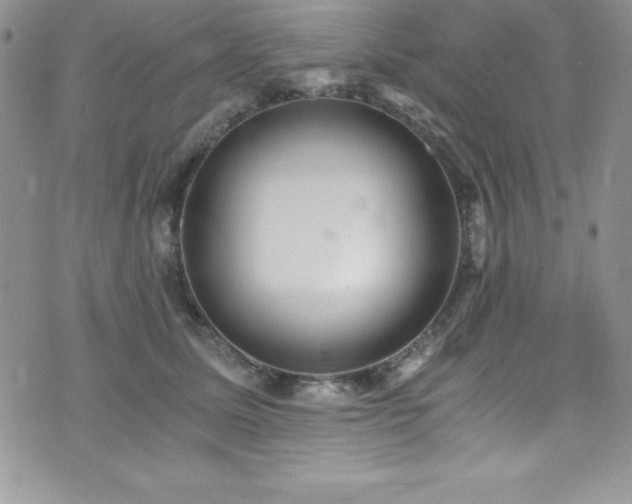 X0000073860611200608101252