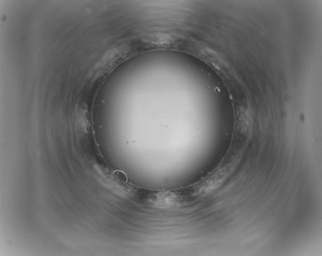 X0000073860612200608101252