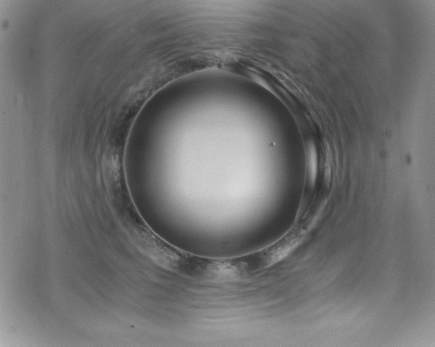 X0000073860613200608101252