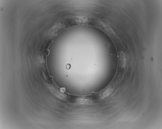 X0000073860614200608101252