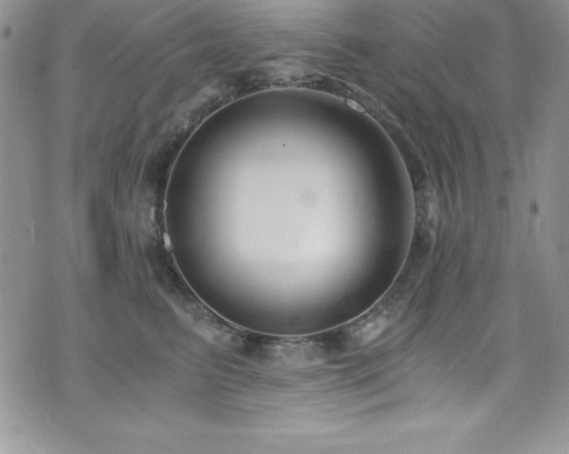 X0000073860615200608101252