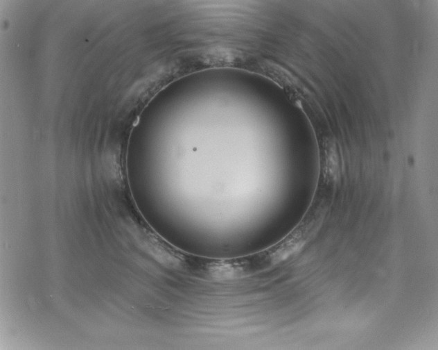 X0000073860616200608101252