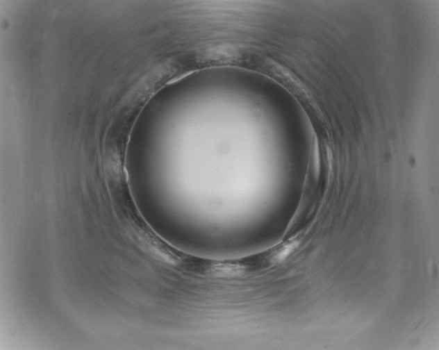 X0000073860617200608101252