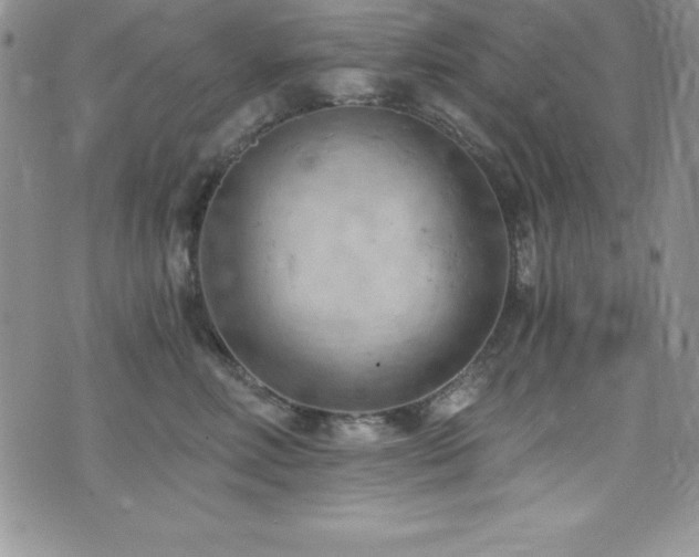 X0000073860618200608101252