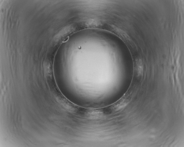 X0000073860619200608101252