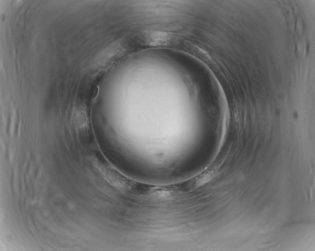 X0000073860620200608101252