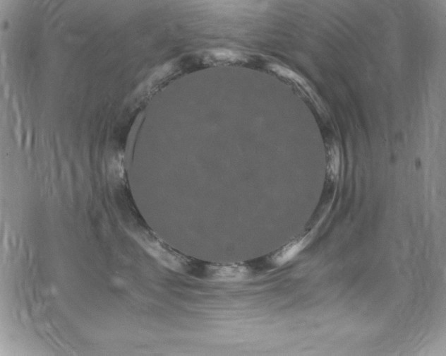 X0000073860621200608101252