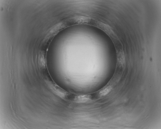 X0000073860622200608101252