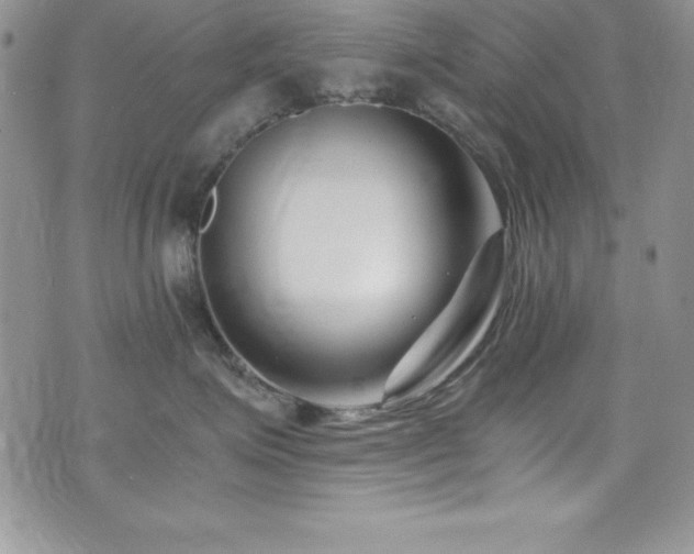 X0000073860623200608101252